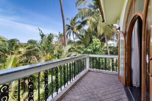 thumbnail: Garden view