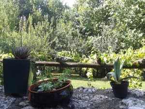 thumbnail: 51591531.jpg