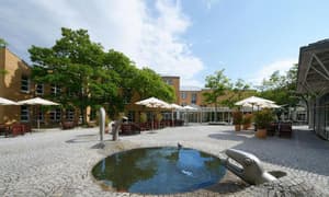 thumbnail: General view