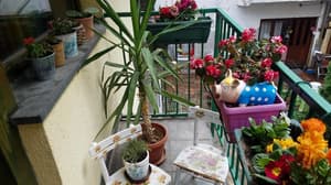 thumbnail: Terrace/patio