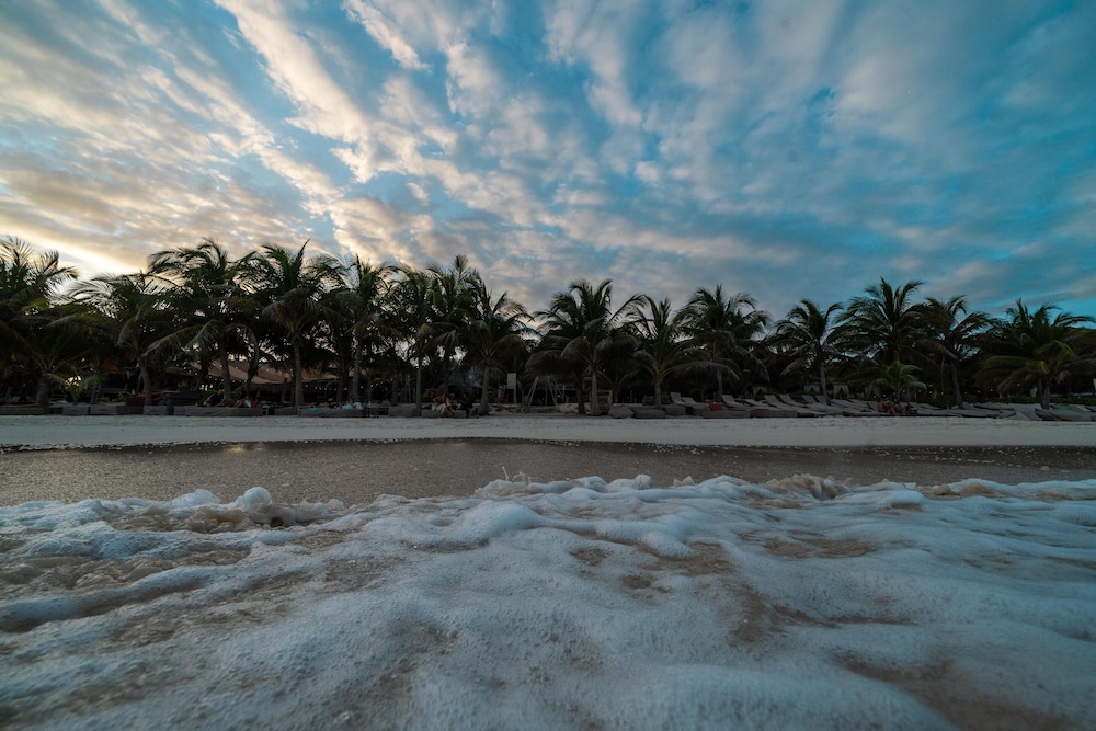 Beach/ocean view