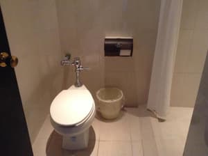 thumbnail: General view