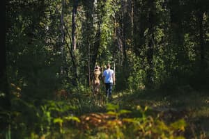 thumbnail: Game viewing