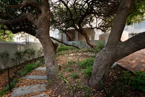 thumbnail: Garden view