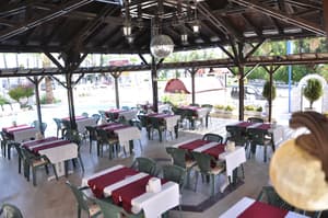 thumbnail: Restaurant