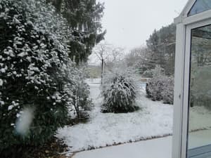 thumbnail: Garden