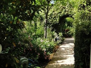 thumbnail: Garden