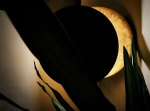 thumbnail: Interior