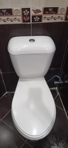 246630881.jpg