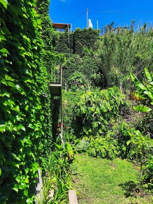 thumbnail: Property grounds