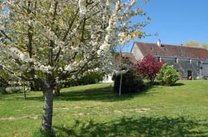 thumbnail: Property grounds