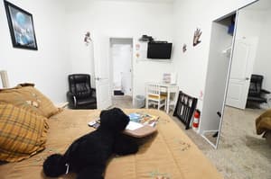thumbnail: Room