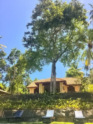 thumbnail: Garden view
