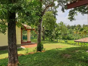 thumbnail: Garden view