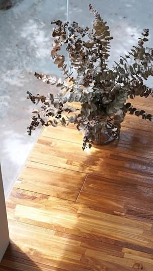 thumbnail: Interior