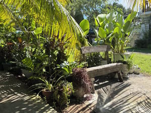thumbnail: Terrace/patio