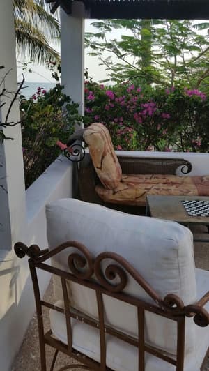 thumbnail: Terrace/patio