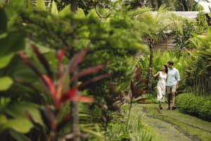 thumbnail: Garden view