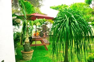 thumbnail: Garden view