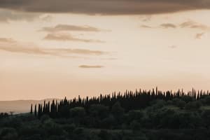 thumbnail: View from property
