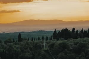thumbnail: View from property