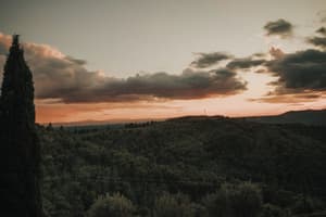 thumbnail: View from property