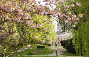 thumbnail: Garden