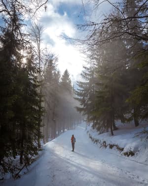 thumbnail: Hiking