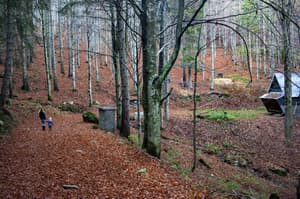 thumbnail: Hiking