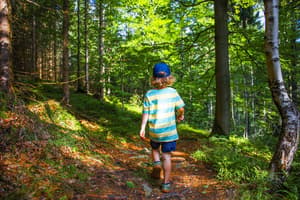 thumbnail: Hiking
