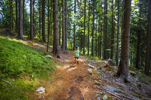 thumbnail: Hiking