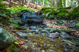 thumbnail: Hiking