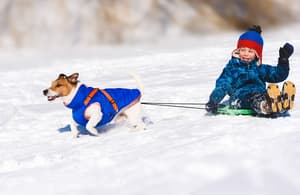 thumbnail: Sledding
