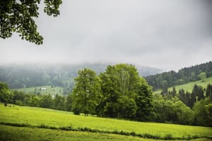thumbnail: View from property