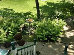 thumbnail: Garden