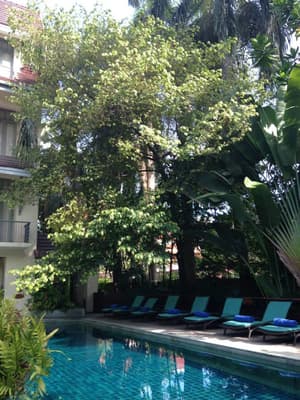 thumbnail: Outdoor pool