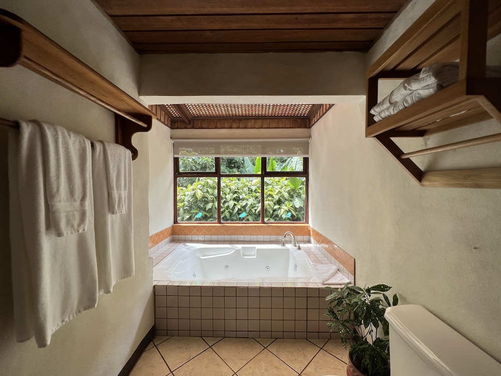 Swimming pool-spa