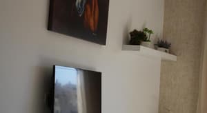 thumbnail: 607189469.jpg