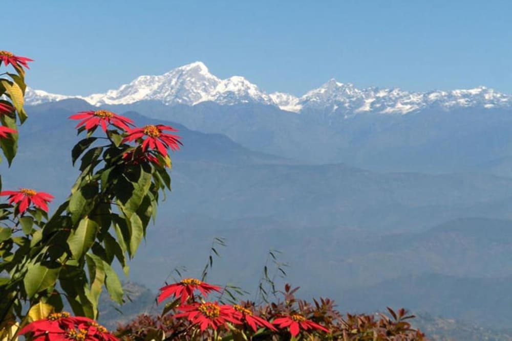 Mountain view