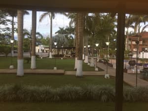 thumbnail: Garden view