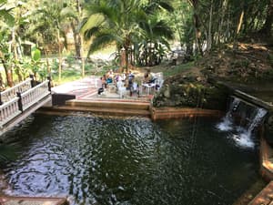 thumbnail: Natural pool