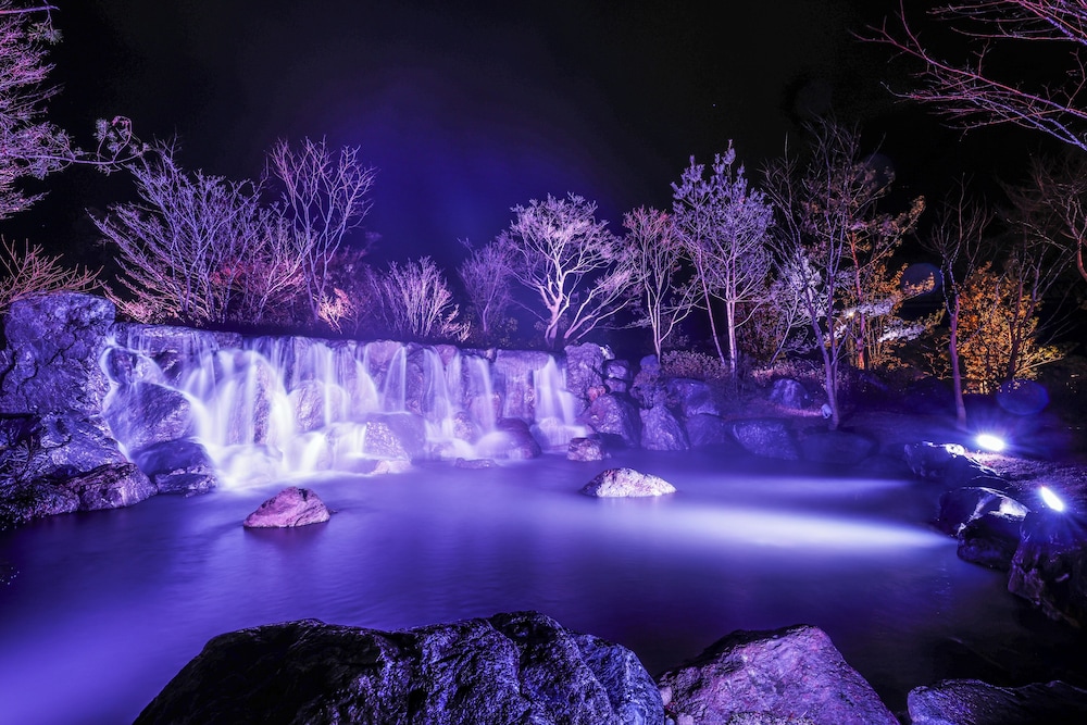 Japanese garden