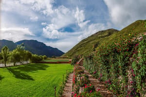 thumbnail: Garden