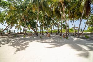thumbnail: Beach