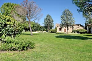 thumbnail: BBQ/picnic area