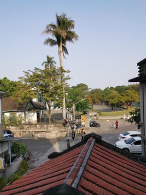 thumbnail: General view