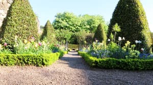 thumbnail: Garden view