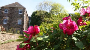 thumbnail: Garden
