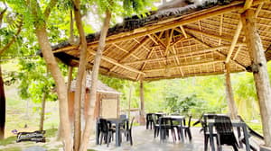thumbnail: Terrace/patio