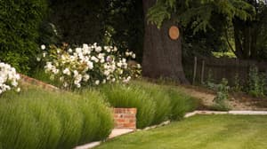 thumbnail: General view